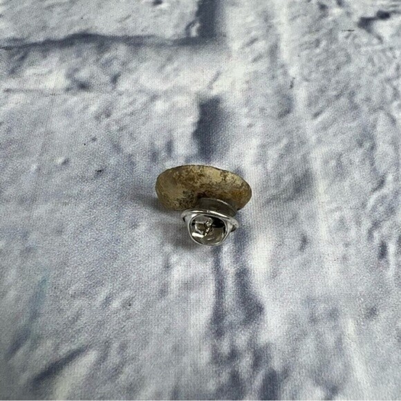 Authentic ammonite fossil tie tack or lapel pin - Picture 8 of 9